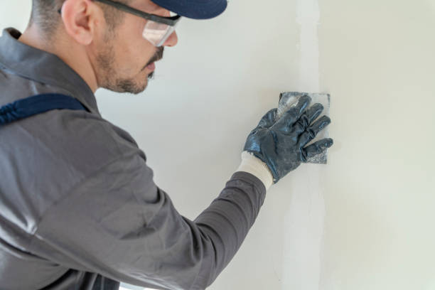 Trusted Darien, IL Dry wall and painting Experts