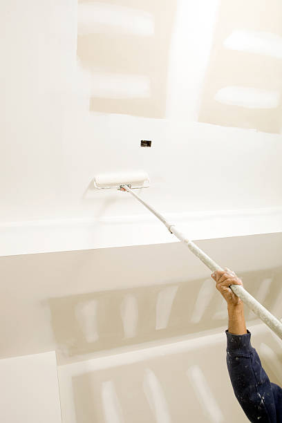 Best Drywall Patching  in Darien, IL